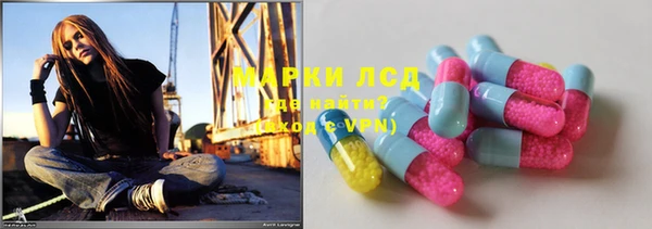 стафф Алзамай