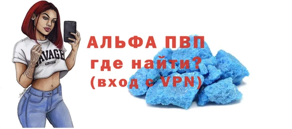 стафф Алзамай