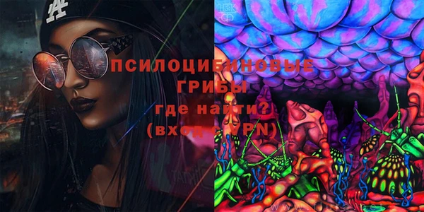 стафф Алзамай