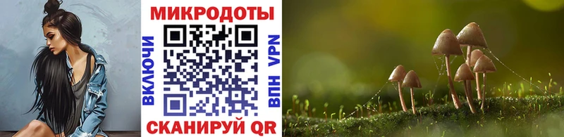 Псилоцибиновые грибы Magic Shrooms  это Telegram  Славск  где можно купить наркотик 